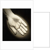 Palm-Side Of A Hand by Anonymous