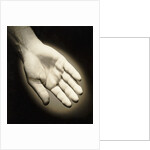 Palm-Side Of A Hand by Anonymous
