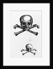 Woodcut Of Skull And Crossbones by Anonymous