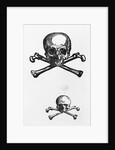 Woodcut Of Skull And Crossbones by Anonymous