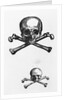 Woodcut Of Skull And Crossbones by Anonymous