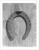 Horseshoe Hanging on a Nail by Anonymous