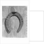 Horseshoe Hanging on a Nail by Anonymous