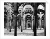 Interior of Mosque at Cordoba by Anonymous