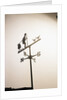 Weather Vane with Old Man and Cane by Anonymous