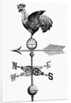 Rooster W/Outstretched Wings On Vane by Anonymous