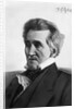 Painting of Andrew Jackson by Anonymous