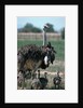Ostrich Watches Over Its Chicks by Anonymous