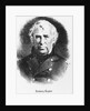 Bust Illustration Of Zachary Taylor by Anonymous