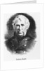 Bust Illustration Of Zachary Taylor by Anonymous