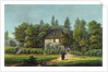 Goethe'S House And Garden by Anonymous