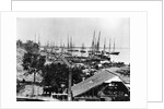 Supplies Landing in Virginia Harbor by Anonymous