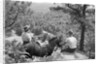Horseback Riders Rest To Admire View by Anonymous