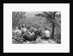 Horseback Riders Rest To Admire View by Anonymous