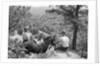 Horseback Riders Rest To Admire View by Anonymous