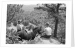 Horseback Riders Rest To Admire View by Anonymous
