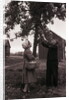 Farmer Pulls Pears from a Tree by Anonymous