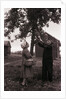 Farmer Pulls Pears from a Tree by Anonymous