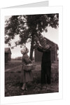 Farmer Pulls Pears from a Tree by Anonymous