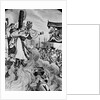Knights Templar Being Burned At Stake by Anonymous