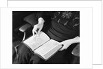 Bible in Woman's Lap by Anonymous