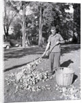Man Raking Leaves by Anonymous