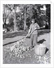Man Raking Leaves by Anonymous