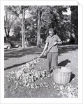 Man Raking Leaves by Anonymous
