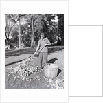 Man Raking Leaves by Anonymous