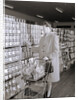 Woman Buying Food In Grocery Store by Anonymous