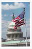 Flag Waving in Front of US Capitol Building by Anonymous