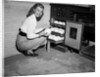 Woman Pull Ostrich Eggs from Incubator by Anonymous