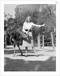 Woman Feeds Ostrich Orange on Farm by Anonymous