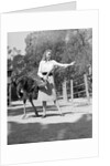 Woman Feeds Ostrich Orange on Farm by Anonymous