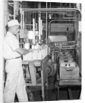 Man Working In Dairy Farm by Anonymous