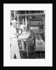Man Working In Dairy Farm by Anonymous