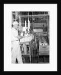 Man Working In Dairy Farm by Anonymous
