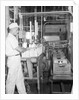 Man Working In Dairy Farm by Anonymous