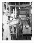 Man Working In Dairy Farm by Anonymous