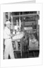 Man Working In Dairy Farm by Anonymous