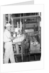 Man Working In Dairy Farm by Anonymous