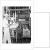 Man Working In Dairy Farm by Anonymous