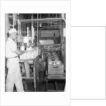 Man Working In Dairy Farm by Anonymous