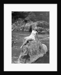Woman in Bathing Costume by Anonymous