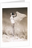 Woman in Swimsuit Holding Scarf by Anonymous