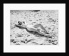 Woman Lying on the Beach by Anonymous