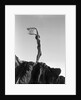 Woman in Bathing Suit Holding a Scarf by Anonymous