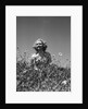 Woman in Wildflower Field by Anonymous