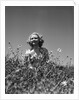 Woman in Wildflower Field by Anonymous