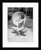 Girl on Swing Holding Parasol by Anonymous